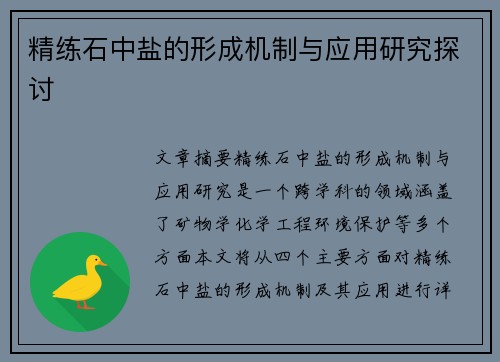 精练石中盐的形成机制与应用研究探讨